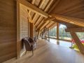 immobilier chalet alpage gerardmer 2