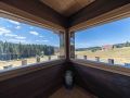immobilier chalet alpage gerardmer 39
