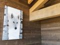 immobilier chalet alpage gerardmer 55